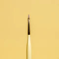 Nail Thoughts Smoosh Brush